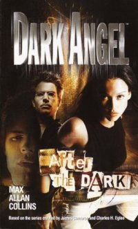 cover of the book After the Dark (Dark Angel, Book 3)