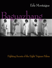 cover of the book Baguazhang  Martial Arts   Self Defense 