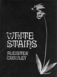 cover of the book White Stains