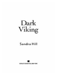 cover of the book Dark Viking