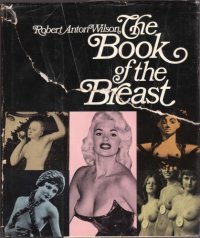 cover of the book The Book Of The Breast