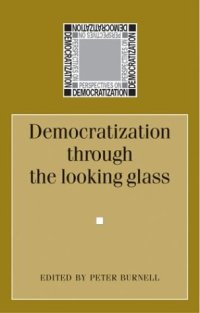 cover of the book Democratization through the Looking Glass: Comparative Perspectives on Democratization