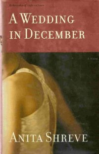 cover of the book Wedding in December