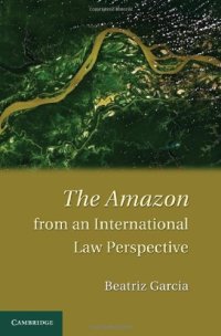 cover of the book The Amazon from an International Law Perspective