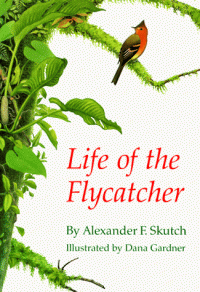 cover of the book Life of the Flycatcher