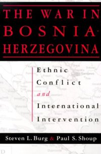 cover of the book The war in Bosnia-Herzegovina: ethnic conflict and international intervention