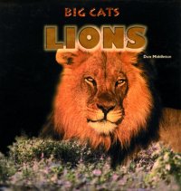 cover of the book Lions (Big Cats)