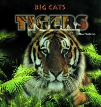 cover of the book Tigers (Big Cats)