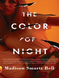 cover of the book The Color of Night (Vintage Contemporaries)