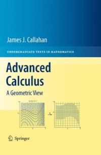 cover of the book Advanced Calculus: A Geometric View