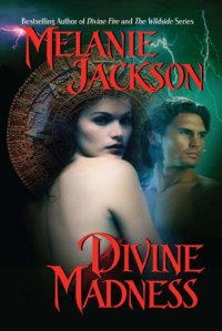 cover of the book Divine Madness