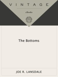 cover of the book The Bottoms (Vintage Crime Black Lizard Original)