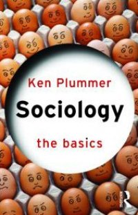 cover of the book Sociology: The Basics