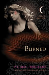 cover of the book Burned