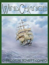 cover of the book Windchance