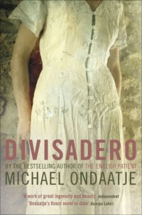 cover of the book Divisadero