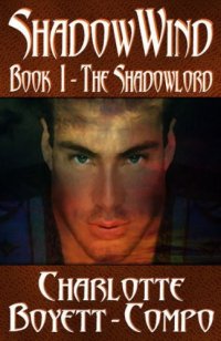 cover of the book The Shadowlord