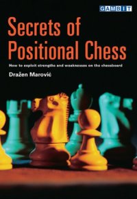 cover of the book Secrets of Positional Chess