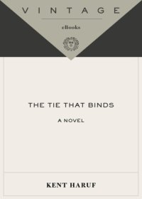 cover of the book The Tie That Binds