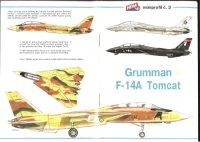 cover of the book Grumman F-14A Tomcat