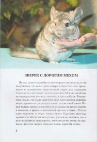 cover of the book Шиншиллы. Содержание и уход.