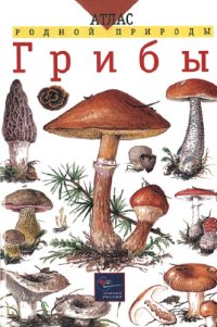 cover of the book Грибы