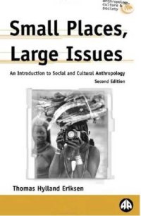 cover of the book Small Places, Large Issues: An Introduction to Social and Cultural Anthropology