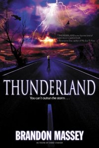 cover of the book Thunderland  