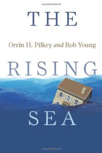 cover of the book The rising sea  