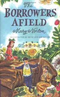 cover of the book The Borrowers Afield  