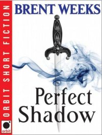 cover of the book Perfect Shadow  