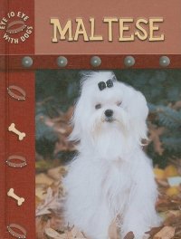 cover of the book Maltese  