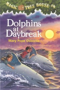 cover of the book Dolphins at daybreak  