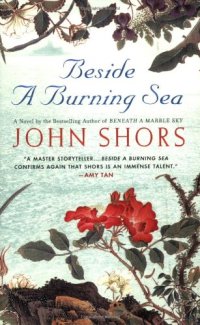 cover of the book Beside a Burning Sea  