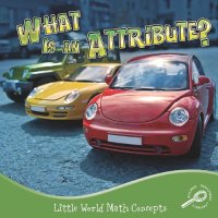 cover of the book What Is an Attribute?  