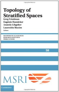 cover of the book Topology of Stratified Spaces