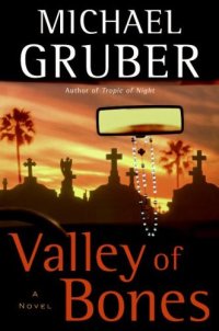 cover of the book Valley of Bones  