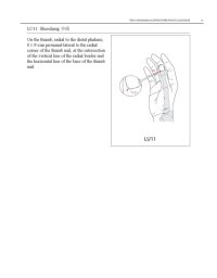 cover of the book WHO Standard Acupuncture Point Locations in the Western Pacific Region part 2  