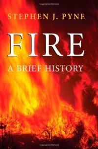 cover of the book Fire: A Brief History  