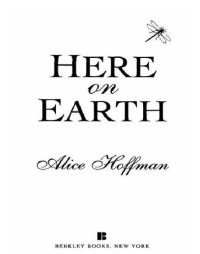 cover of the book Here on Earth  