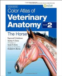 cover of the book Color Atlas of Veterinary Anatomy, Volume 2, The Horse  