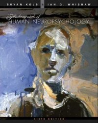 cover of the book Fundamentals of Human Neuropsychology , Sixth Edition  