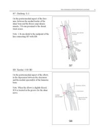 cover of the book WHO Standard Acupuncture Point Locations in the Western Pacific Region part 4  