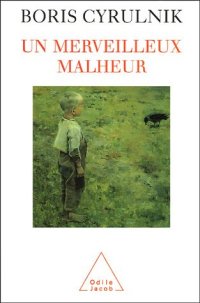 cover of the book Un merveilleux malheur  