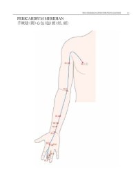 cover of the book WHO Standard Acupuncture Point Locations in the Western Pacific Region part 6  