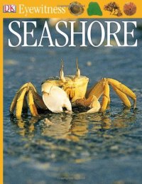 cover of the book Seashore (DK Eyewitness Books)  