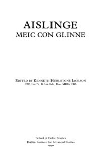 cover of the book Aislinge Meic Con Gline (Irish Edition, english comments)  