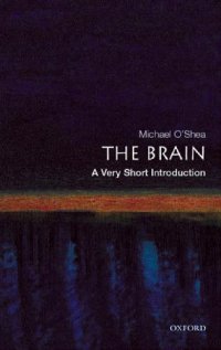 cover of the book The Brain. A Very Short Introduction