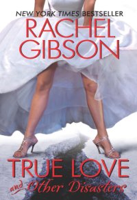 cover of the book True Love and Other Disasters  