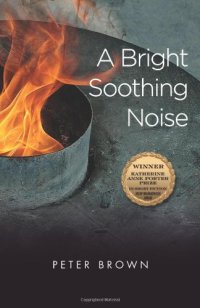 cover of the book A Bright Soothing Noise  